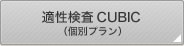 �K������CUBIC�i�ʃv�����j