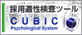 �̗p�K�������c�[�� CUBIC
