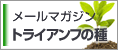 �g���C�A���t�̎�