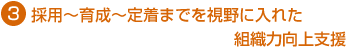 採用～育成～定着までを視野に入れた組織力向上支援